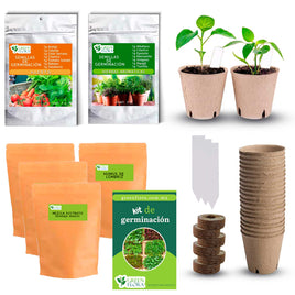 Kit de germinación de semillas de vegetales y hierbas aromáticas