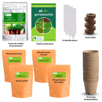 Kit de germinación de semillas de vegetales y hierbas aromáticas