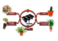 Charola 6 cavidades para germinación. 3 piezas.