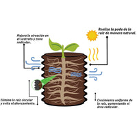 Maceta Air Grower de 6 Litros. Maceta de poda de aire. 3 piezas