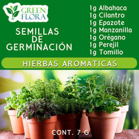 Kit de germinación de semillas de vegetales y hierbas aromáticas