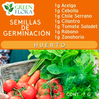 Kit de germinación de semillas de vegetales y hierbas aromáticas