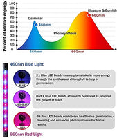 luces led para plantas, 30 W Luz de planta para plantas de interior, 3 tiras